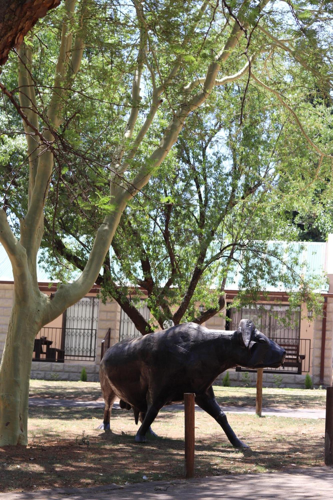 Khaya Africa Guesthouse Midrand Εξωτερικό φωτογραφία