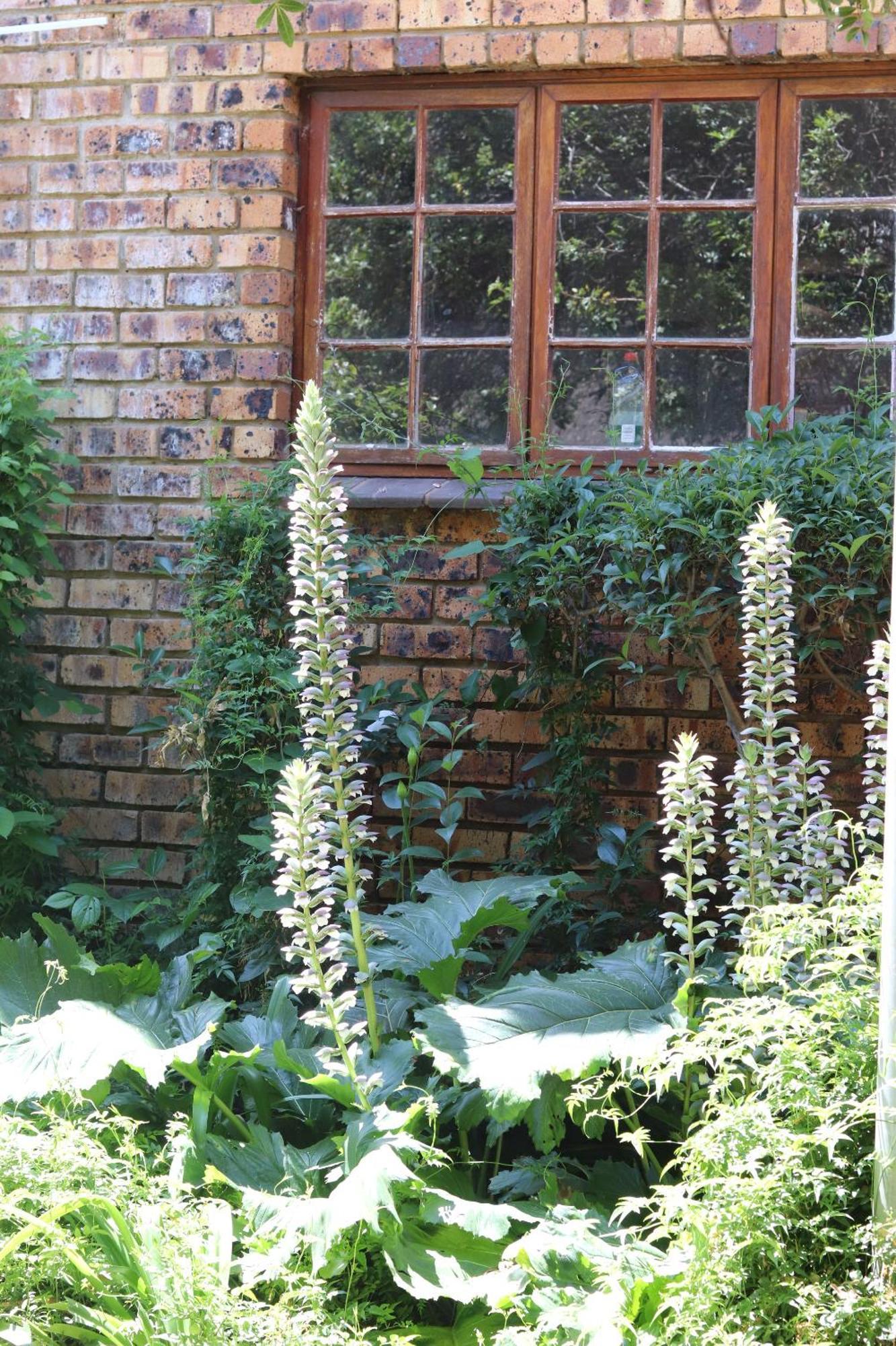 Khaya Africa Guesthouse Midrand Εξωτερικό φωτογραφία