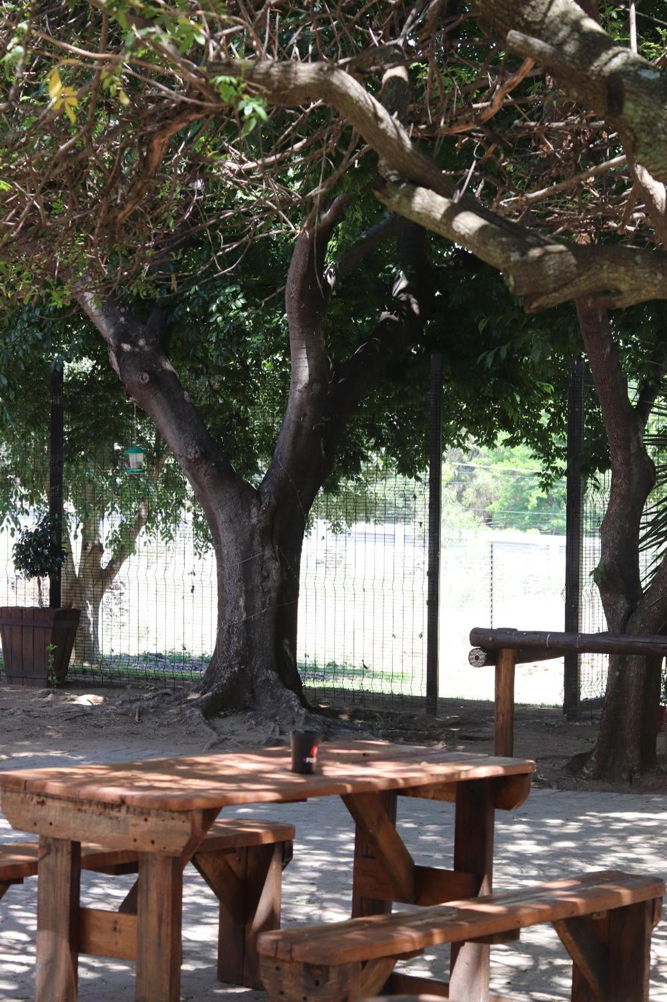 Khaya Africa Guesthouse Midrand Εξωτερικό φωτογραφία